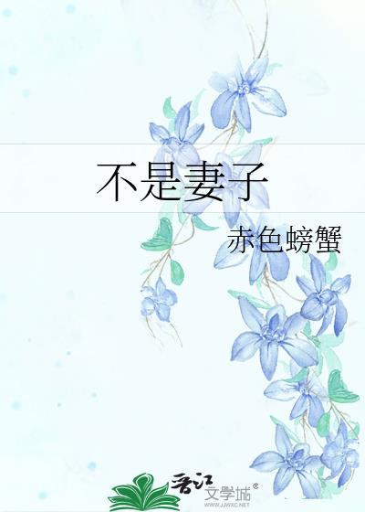 不是妻子
