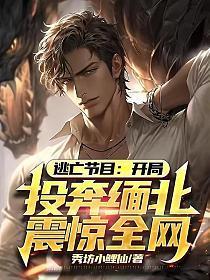 逃亡节目:开局投奔缅北震惊全网